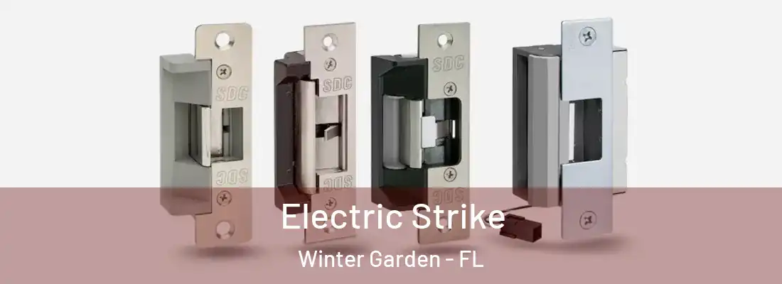 Electric Strike Winter Garden - FL