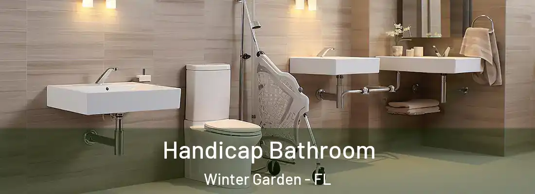 Handicap Bathroom Winter Garden - FL