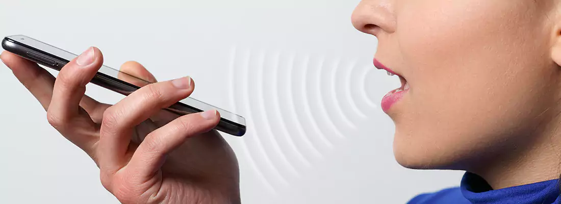 Residential and Commercial Voice Recognition Access Solutions in Winter Garden, FL