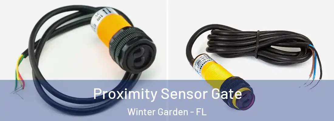 Proximity Sensor Gate Winter Garden - FL